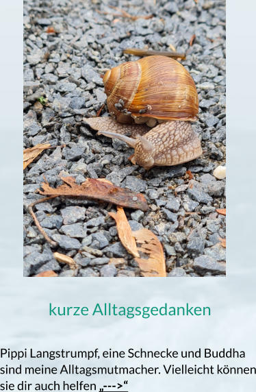 kurze Alltagsgedanken  Pippi Langstrumpf, eine Schnecke und Buddha sind meine Alltagsmutmacher. Vielleicht können sie dir auch helfen „--->“